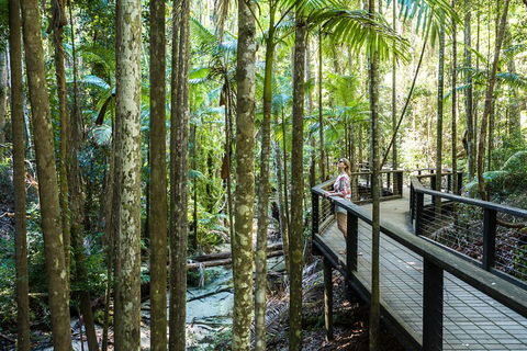 All-Inclusive Fraser Island Day Tour - Accommodation Coffs Harbour 5