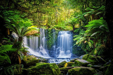 Day Tour In Mt. Field, Mt. Wellington, Bonorong Wildlife Sanctuary And Richmond - Accommodation Coffs Harbour 0