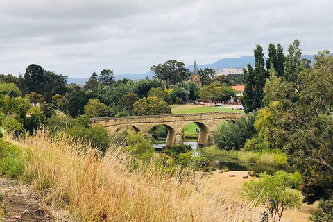 Day Tour In Mt. Field, Mt. Wellington, Bonorong Wildlife Sanctuary And Richmond - Accommodation Coffs Harbour 3