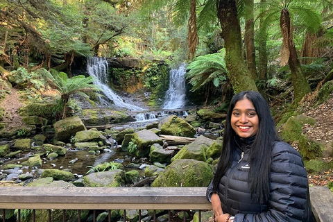 Day Tour In Mt. Field, Mt. Wellington, Bonorong Wildlife Sanctuary And Richmond - Accommodation Coffs Harbour 5