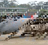 Off-Road Safari at Werribee Open Range Zoo