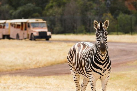 Werribee Open Range Zoo General Admission Ticket - Accommodation Coffs Harbour 5