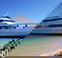Moreton Island Day Trip Kayak Snorkel  Sandboard frm Brisbane or Gold Coast - Accommodation Coffs Harbour
