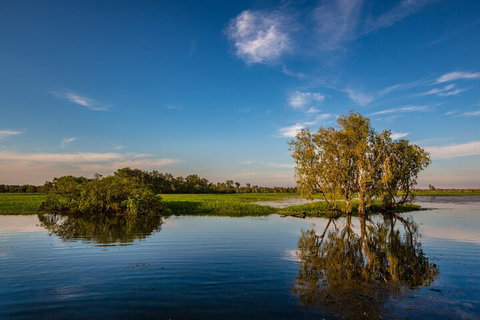 Darwin To Kakadu Day Trip By Air Including Yellow Water Cruise - Accommodation Coffs Harbour 5