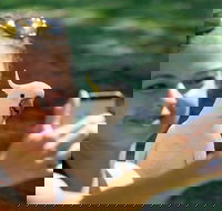 2-Day Melbourne to Adelaide Tour Great Ocean Road and Grampians One Way Trip