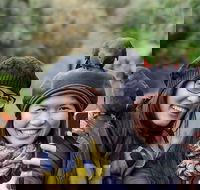 Small-Group Great Ocean Road and 12 Apostles Full-Day Tour from Melbourne