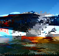Paradise Jet Boating and Aquaduck Combo