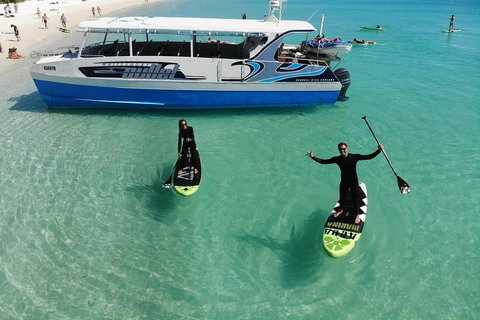 Whitsunday Bullet Day Trip - Whitehaven Beach And Snorkelling - Accommodation Coffs Harbour 4