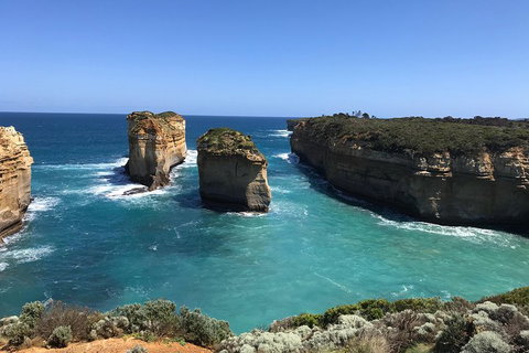 Great Ocean Road Reverse Itinerary PREMIUM Tour - Accommodation Coffs Harbour 0