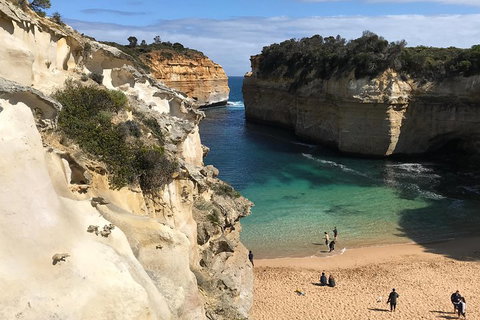 Great Ocean Road Reverse Itinerary PREMIUM Tour - Accommodation Coffs Harbour 3