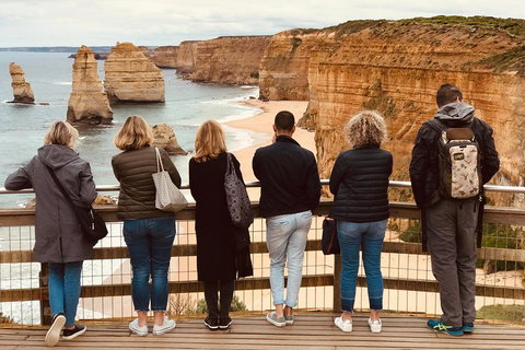 Great Ocean Road Reverse Itinerary PREMIUM Tour - Accommodation Coffs Harbour 5