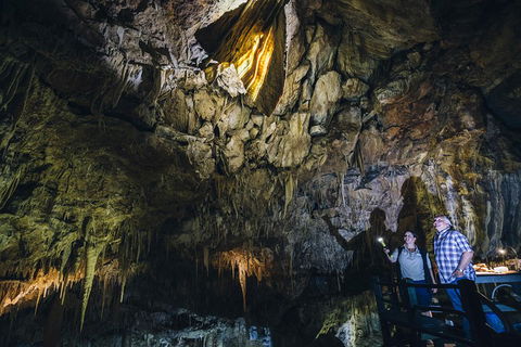 Ngilgi Cave Semi-guided Tour - Accommodation Coffs Harbour 0