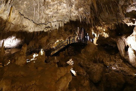 Ngilgi Cave Semi-guided Tour - Accommodation Coffs Harbour 2