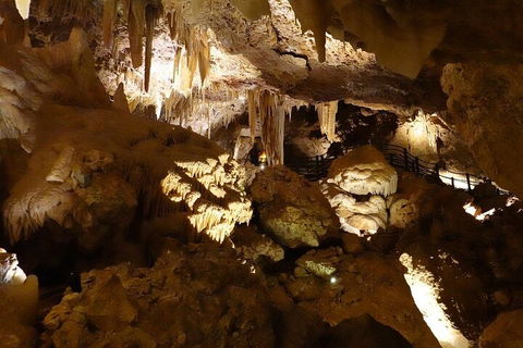 Ngilgi Cave Semi-guided Tour - Accommodation Coffs Harbour 3