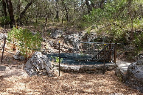 Ngilgi Cave Semi-guided Tour - Accommodation Coffs Harbour 4