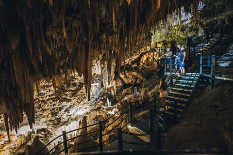 Ngilgi Cave Semi-guided Tour - Accommodation Coffs Harbour 5