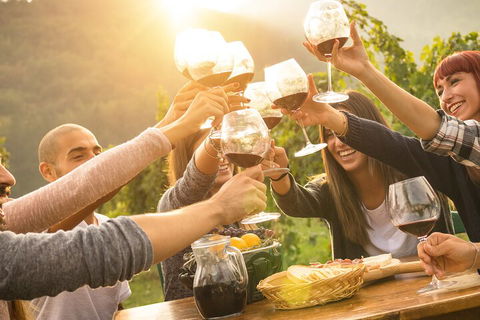 Yarra Valley, Dandenong Ranges Inc. Lunch With Wine,plus Morning Tea,chocolate - Accommodation Coffs Harbour 4