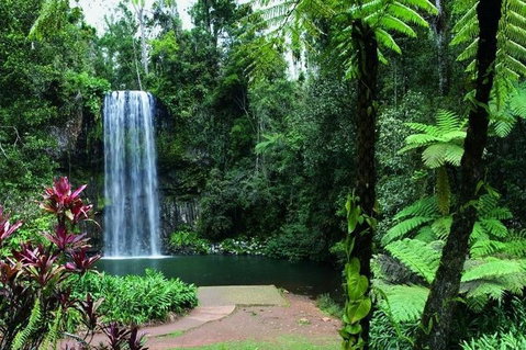 Paronella Park And Millaa Millaa Falls Full-day Tour From Cairns - Accommodation Coffs Harbour 3