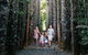 Paronella Park And Millaa Millaa Falls Full-day Tour From Cairns - thumb 5