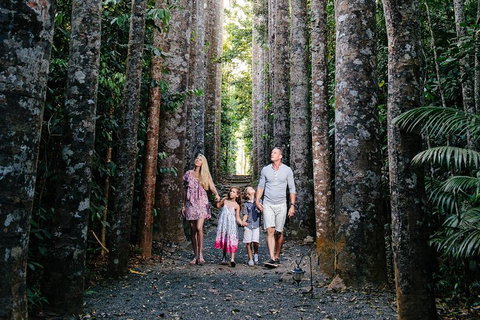 Paronella Park And Millaa Millaa Falls Full-day Tour From Cairns - Accommodation Coffs Harbour 5