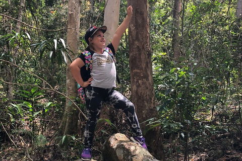 Natural Bridge, Skywalk And Mt Tamborine Adventure! - Accommodation Coffs Harbour 3