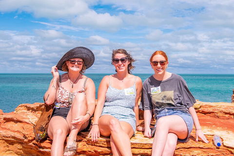 Broome Panoramic Town Tour - All The Extraordinary Sights And History Of Broome - Accommodation Coffs Harbour 5