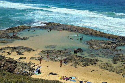 Pippies 3 Days 2 Nights Fraser Island Tour - Accommodation Coffs Harbour 5