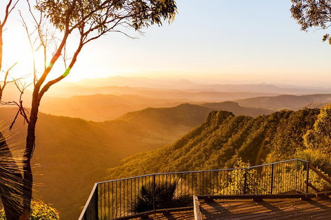 O'Reilly's & Lamington National Park Incl. Alpaca Farm + Vineyard - Accommodation Coffs Harbour 0