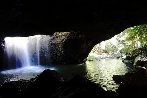 Natural Arch, Rainforest & Volcano Canyon - Private Half Day Tour - Accommodation Coffs Harbour 0