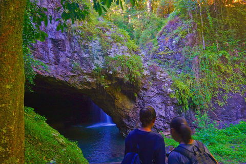 Natural Arch, Rainforest & Volcano Canyon - Private Half Day Tour - Accommodation Coffs Harbour 4