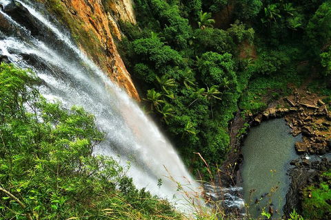 Natural Arch, Rainforest & Volcano Canyon - Private Half Day Tour - Accommodation Coffs Harbour 5