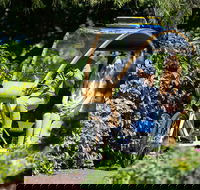 Adelaide 90-Minute Pedicab Tour Scenic Green  River Experience - Accommodation Coffs Harbour