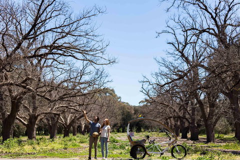 Adelaide 90-Minute Pedicab Tour: Scenic Green & River Experience - Accommodation Coffs Harbour 1