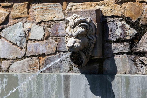 Adelaide 90-Minute Pedicab Tour: Scenic Green & River Experience - Accommodation Coffs Harbour 3