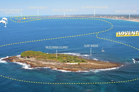 1.5HR Mudjimba Island Wildlife Safari - Accommodation Coffs Harbour 1