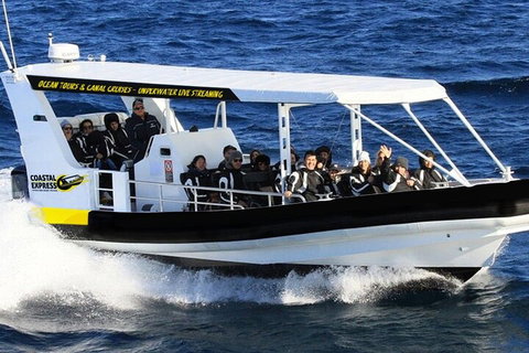 1.5HR Mudjimba Island Wildlife Safari - Accommodation Coffs Harbour 2