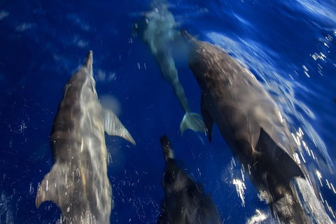 1.5HR Mudjimba Island Wildlife Safari - Accommodation Coffs Harbour 3