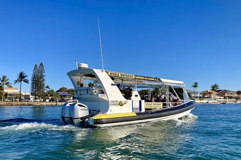 1.5HR Mudjimba Island Wildlife Safari - Accommodation Coffs Harbour 4