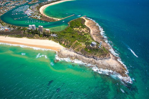 1.5HR Mudjimba Island Wildlife Safari - Accommodation Coffs Harbour 5