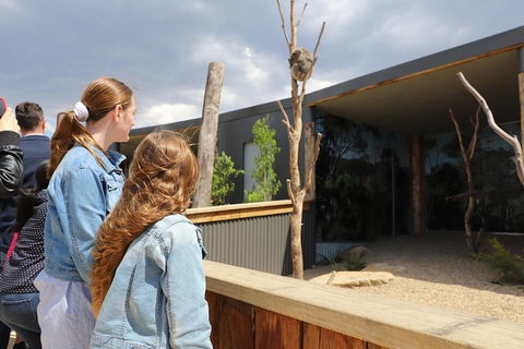 Blue Mountains Nature And Wildlife Day Tour From Sydney - Accommodation Coffs Harbour 3
