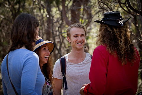 Blue Mountains Nature And Wildlife Day Tour From Sydney - Accommodation Coffs Harbour 4