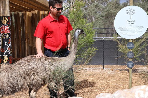 Blue Mountains Nature And Wildlife Day Tour From Sydney - Accommodation Coffs Harbour 5