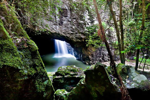 Natural Bridge & Springbrook Waterfalls Tour + Hot Air Balloon With Breakfast - Accommodation Coffs Harbour 4