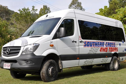 Natural Bridge & Springbrook Waterfalls Tour - Accommodation Coffs Harbour 3