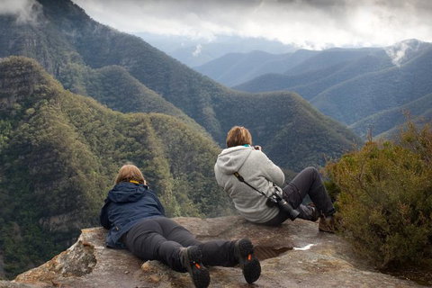 Inside The Greater Blue Mountains World Heritage - A Private Wildlife Safari Overnight - Accommodation Coffs Harbour 0