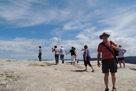 Inside The Greater Blue Mountains World Heritage - A Private Wildlife Safari Overnight - Accommodation Coffs Harbour 3