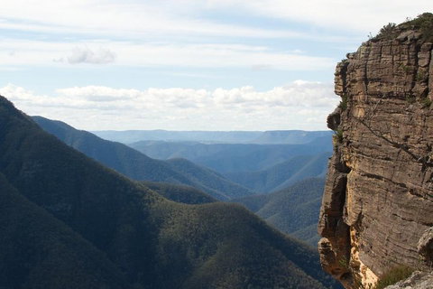 Inside The Greater Blue Mountains World Heritage - A Private Wildlife Safari Overnight - Accommodation Coffs Harbour 4