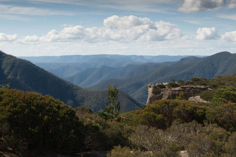 Inside The Greater Blue Mountains World Heritage - A Private Wildlife Safari Overnight - Accommodation Coffs Harbour 5