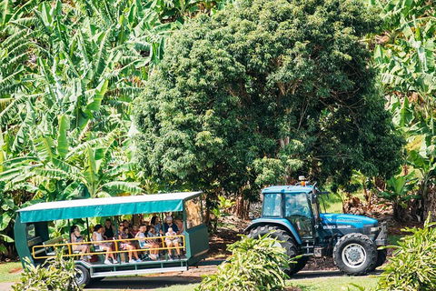 Northern Rivers Full Day Wine Tour - Accommodation Coffs Harbour 1