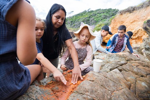Cape Byron Aboriginal Tour - Accommodation Coffs Harbour 1